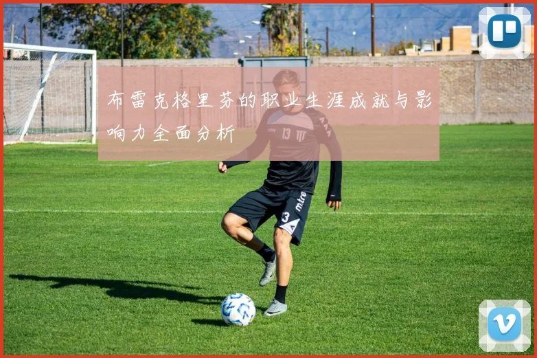 布雷克格里芬的职业生涯成就与影响力全面分析